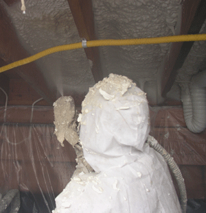 Port St. Lucie FL crawl space insulation